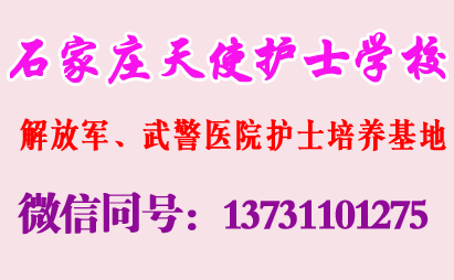 石家庄天使护士学校如何保障学生安置就业问题的呢