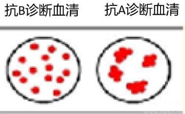 河北省2020年普通高校招生医学类对口专业考试相关事宜