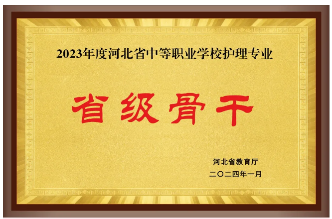 3+3护理专业单招对口升学班|石家庄天使护士学校骨干专业