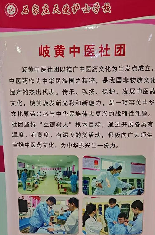 石家庄天使护士学校开设”岐黄中医社团“什么要求？做什么的？