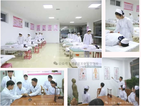 石家庄天使护士学校2026年春季招生什么专业？招生人数多少？