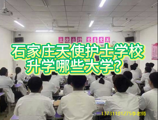 石家庄天使护士学校3+3普通大专可以报考哪些院校？