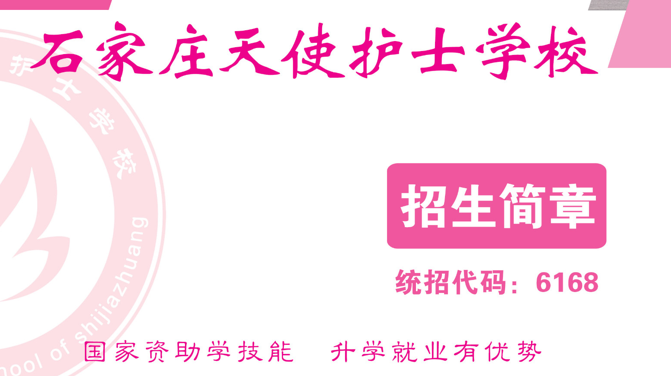 中考 300 分左右的孩子建议上中专而非高中的核心原因分