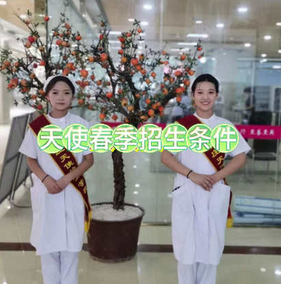 2026年春季石家庄天使护士学校招生计划（招生专业、学费